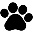 Тварини