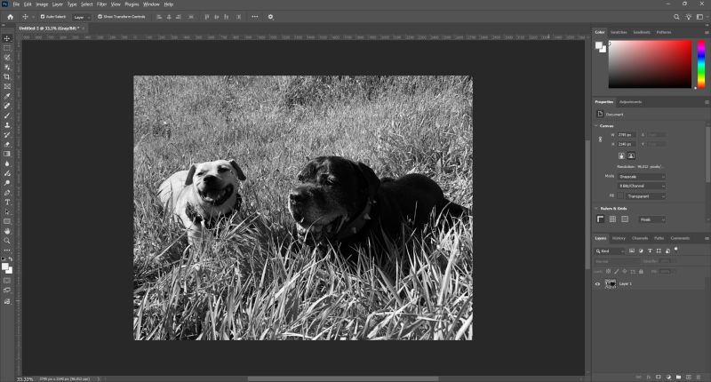 Чорно-білий режим у Photoshop