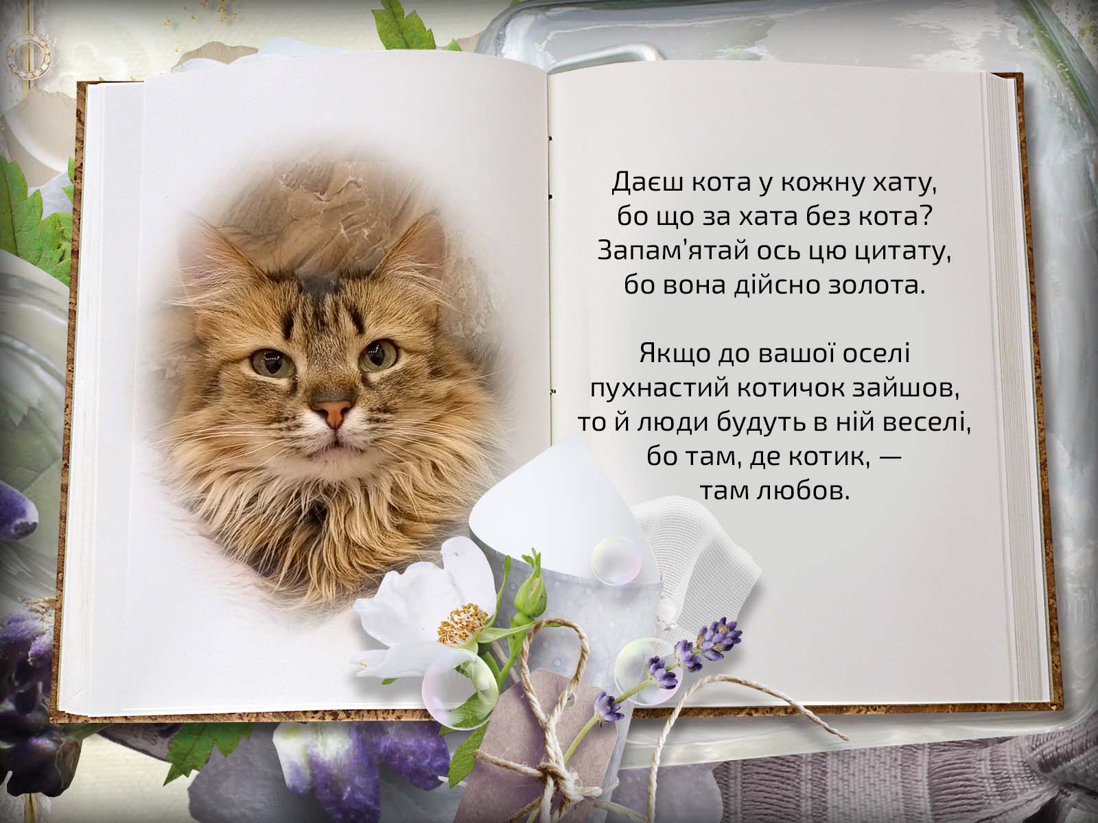 Даєш кота у кожну хату
