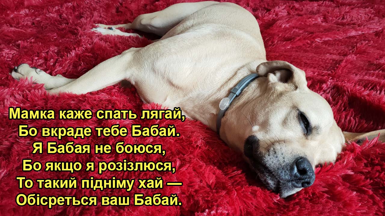 Мамка каже спать лягай
